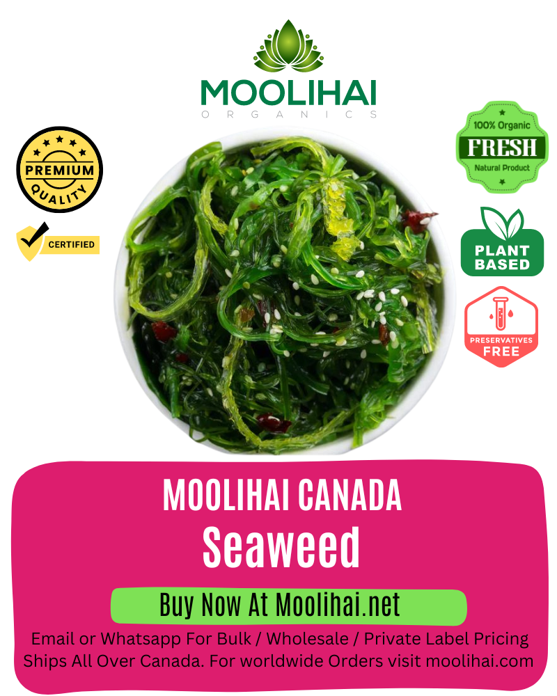 Organic Seaweed / Macroalgae