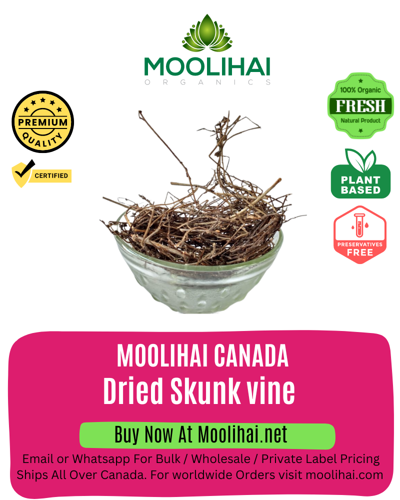 Dried Mudhiyor Koonthal / Skunk vine / Skung Vine / Paederia foetida - 500 gm