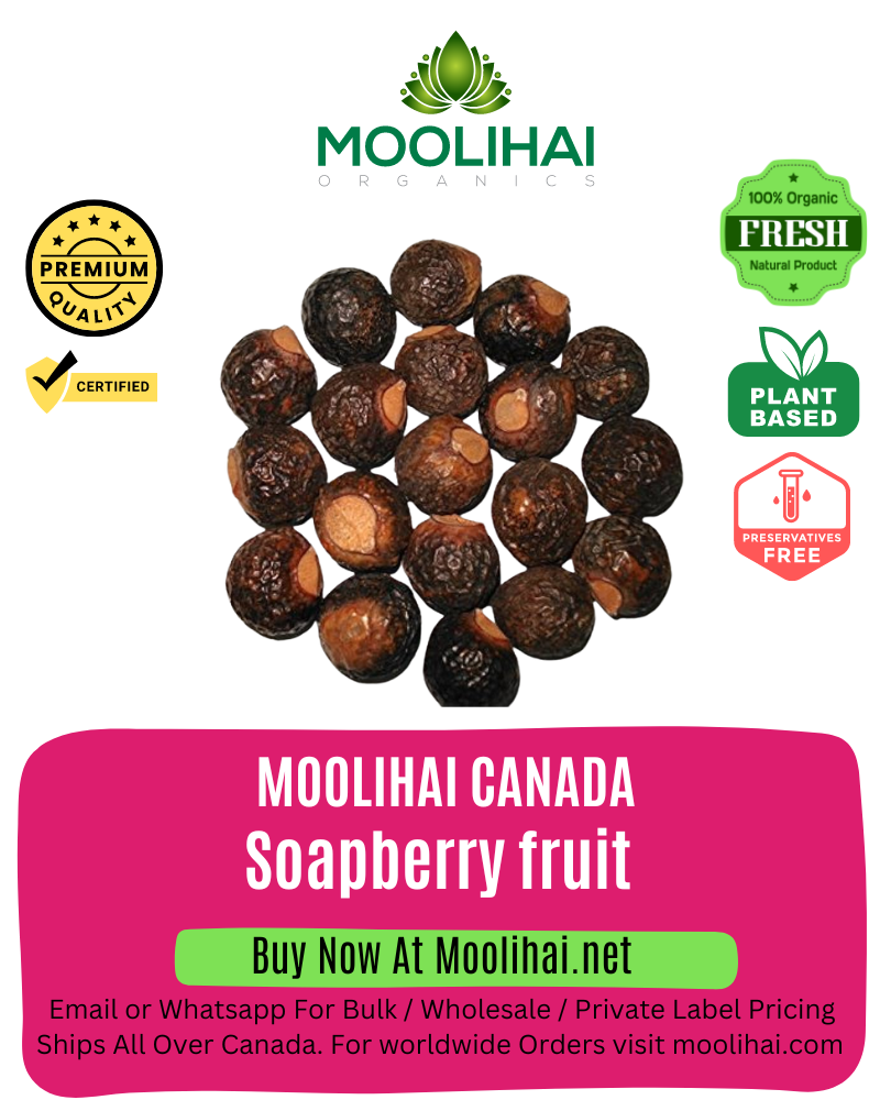 Soapberry fruit (Puskas Kaai)