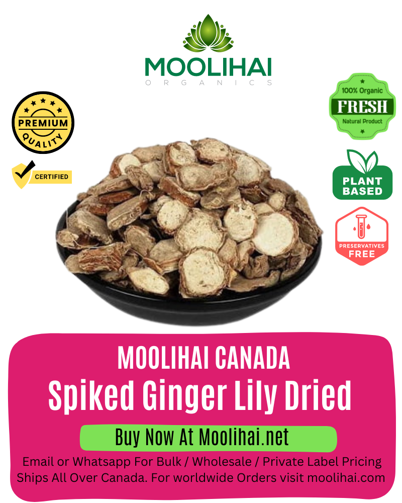 Spiked Ginger Lily Dried / Poolankilangu