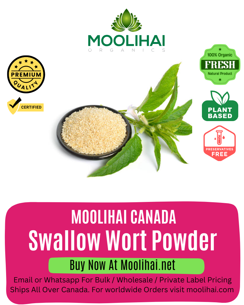 Swallow Wort Powder / Vellarugu Podi