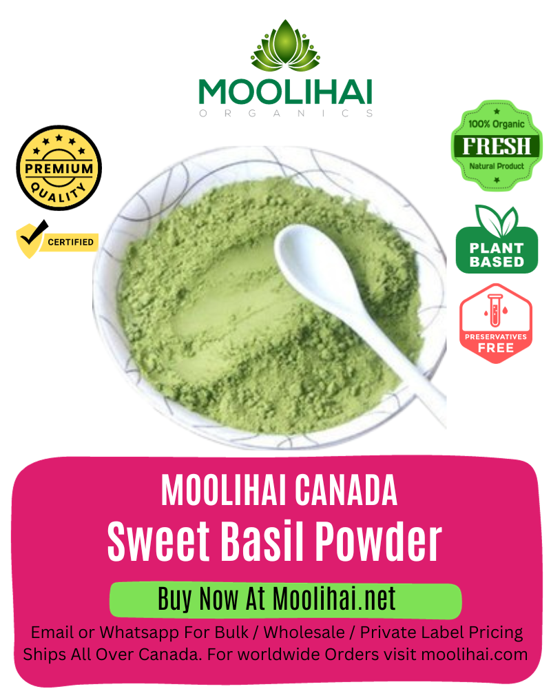 Sweet Basil Powder / Thiruneetru Pachilai