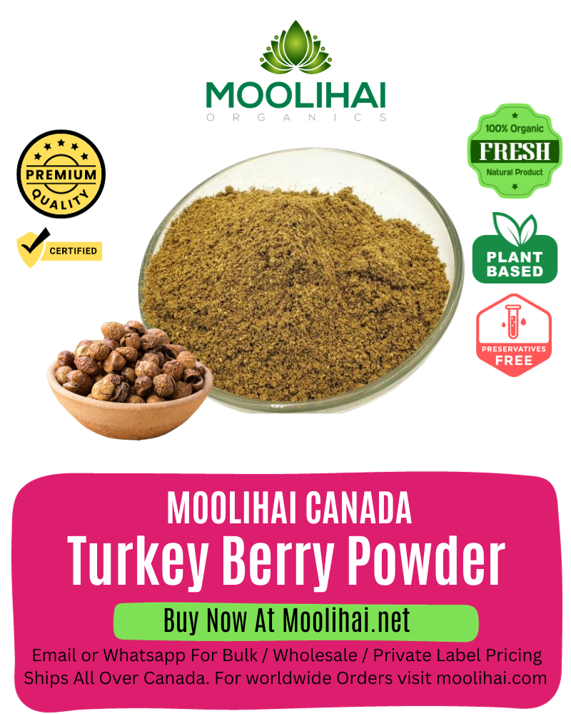 Sundaikkai / Turkey Berry Powder
