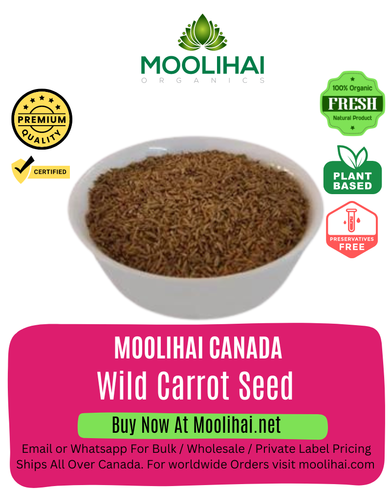 Wild Carrot Seed