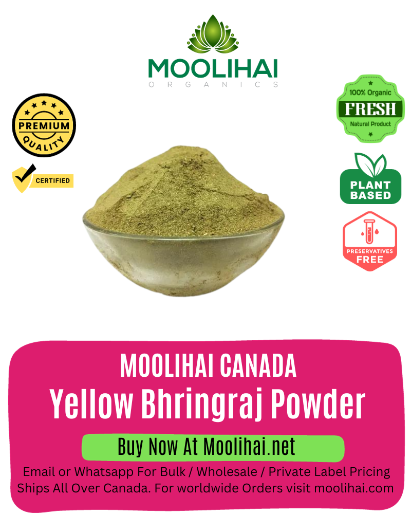 Organic Yellow Bhringraj Powder / Yellow Karisalai Powder / Eclipta Prostrata - 200 gm