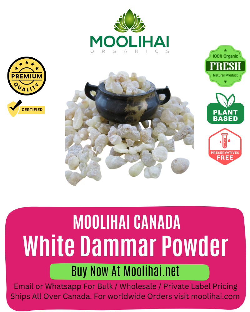 White Dammar Powder / Vellai Gungiliyam Powder