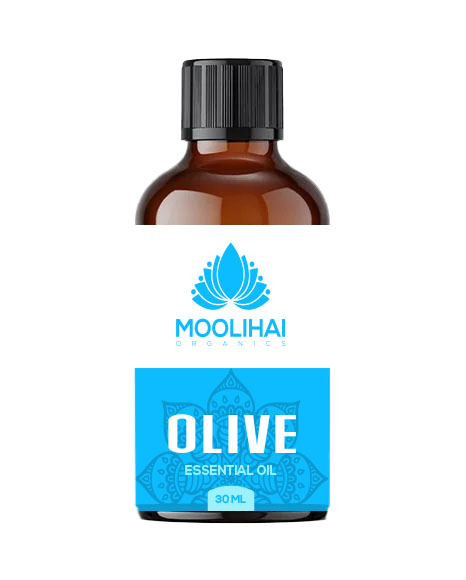 Olive Essential Oil