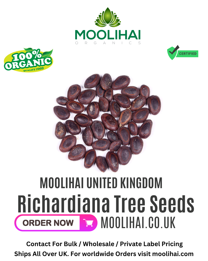 Albizia Richardiana Tree Seeds / Hatiamiuki / Uchilamaram