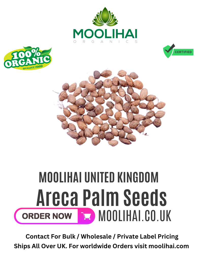 Areca Palm Seeds
