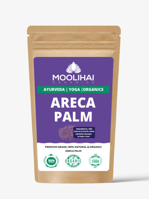 Areca Palm Seeds - Image 2
