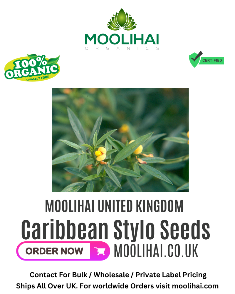 Caribbean Stylo Seeds (Stylosanthes Hamata)