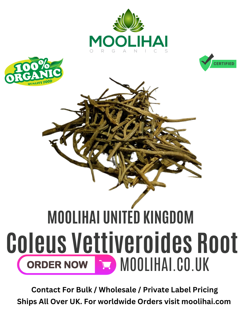 Vilamichai Ver / Coleus Vettiveroides Root