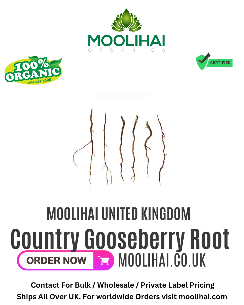 Country Gooseberry Root / Keezhanelli Ver