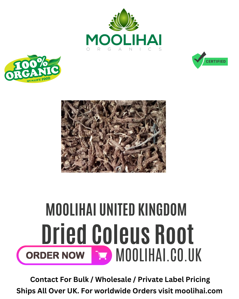 Dried Coleus Root