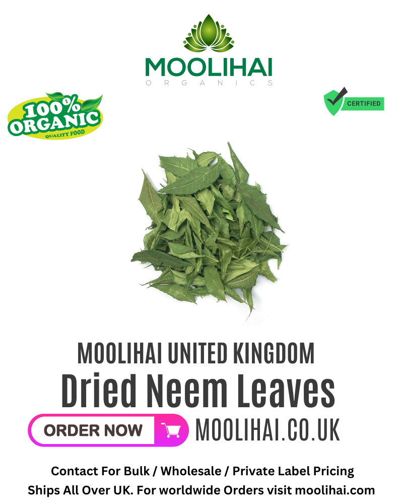 Organic Sun Dried Neem Leaves / Azadirachta Indica / Neembu Leaves
