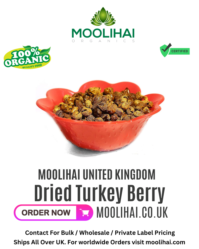 Dried Turkey Berry / Solanum Torvum / Sundaikkai / Sundaka Vathal – 100 gm