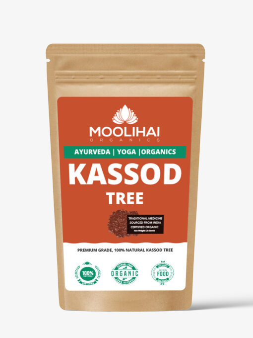 Kassod Tree / Cassia siamea seeds - Image 2