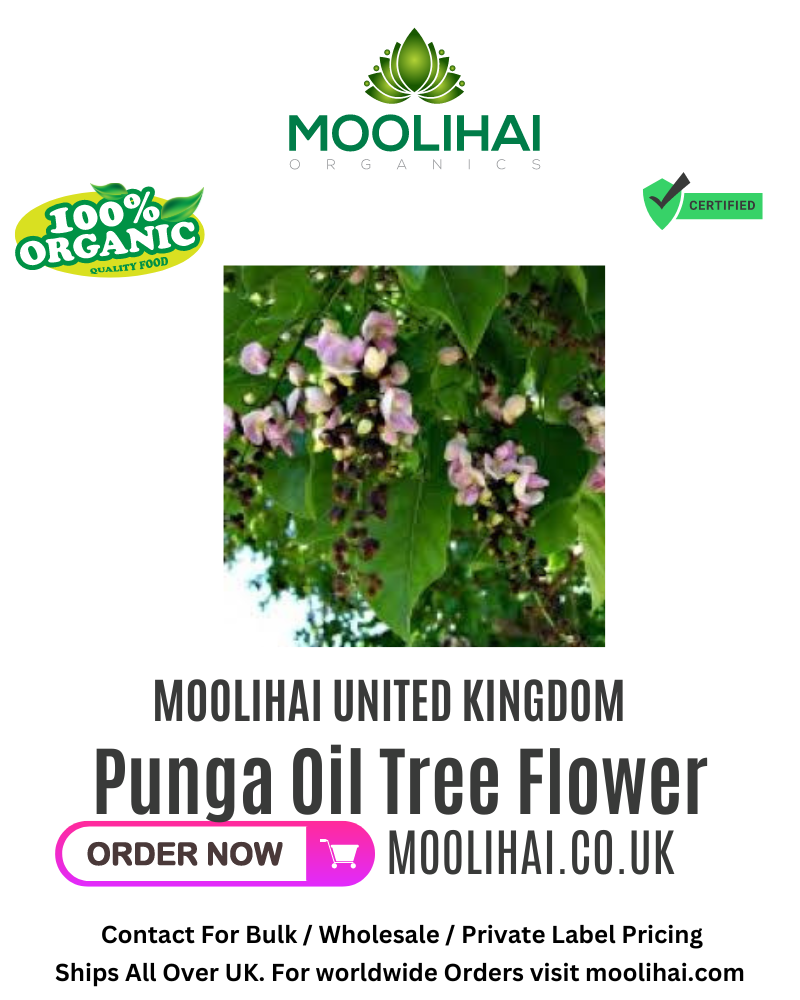 Punga Oil Tree Flower / Punga Poo
