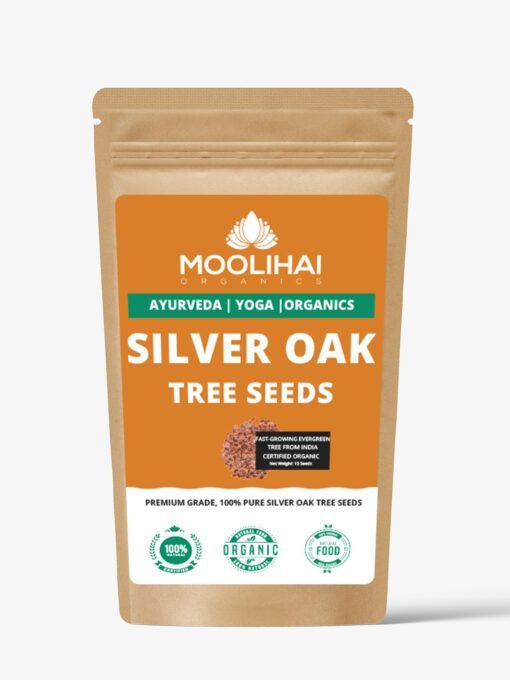 Silver Oak Tree Seeds (Grevelia Robesta) - Image 2