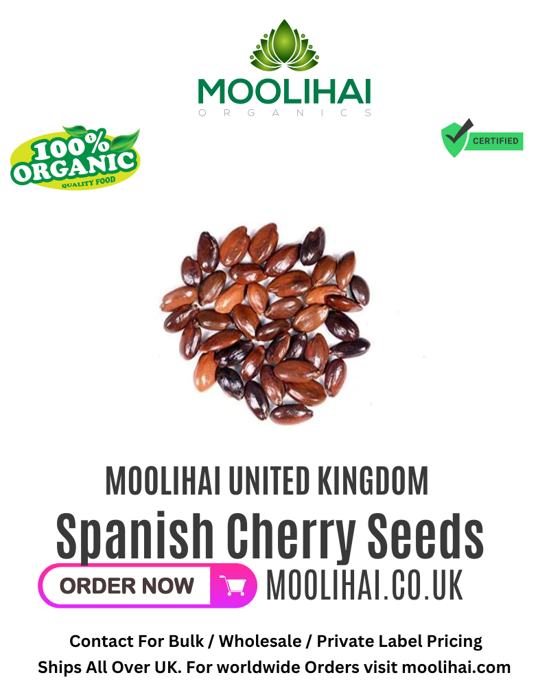 Spanish Cherry Seeds / Magizham Vithai