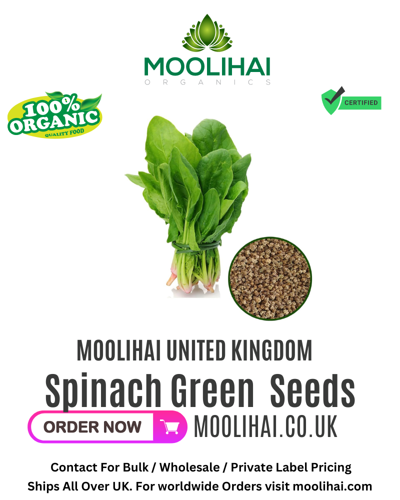 Spinach Green / Palak Seeds