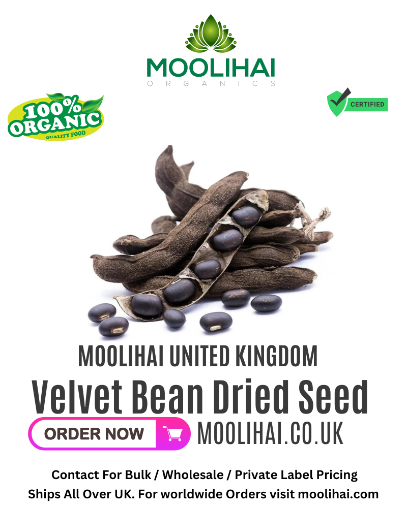 Velvet Bean Dried Seed / Poonaikali