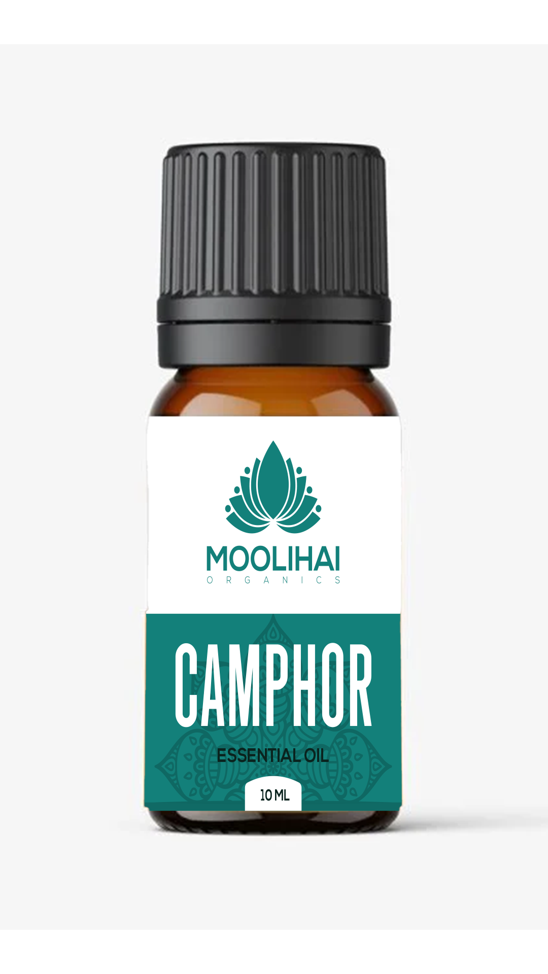 Camphor Essential Oil