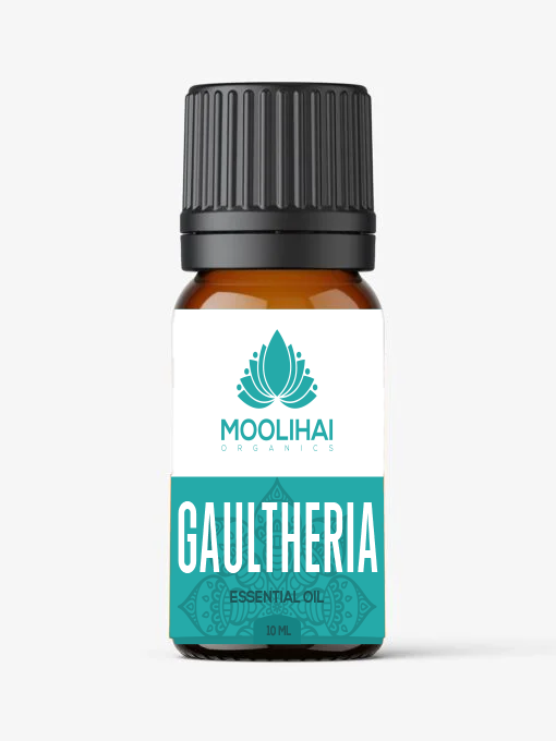 Gaultheria Essential Oil
