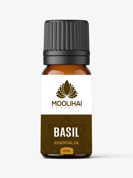 Basil Essential Oil