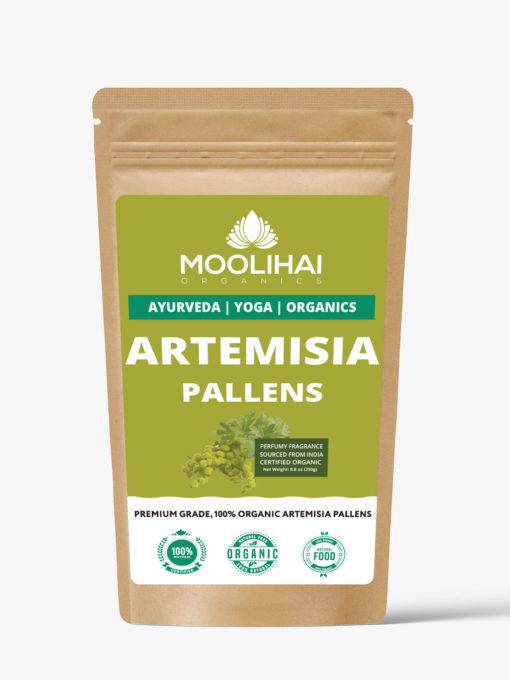 Marjoram / Marikozhundhu / Artemisia Pallens / murwa / Marugu / Maruvamu / Maruga / Muru / Dhavanam - 250gm - Image 2