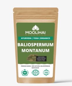 Alternative view of Baliospermum montanum / Red physic nut/ Danti / Hastidanti / Janglijamalgota / Dantika / Kattamankku / Erradundiga-200gm