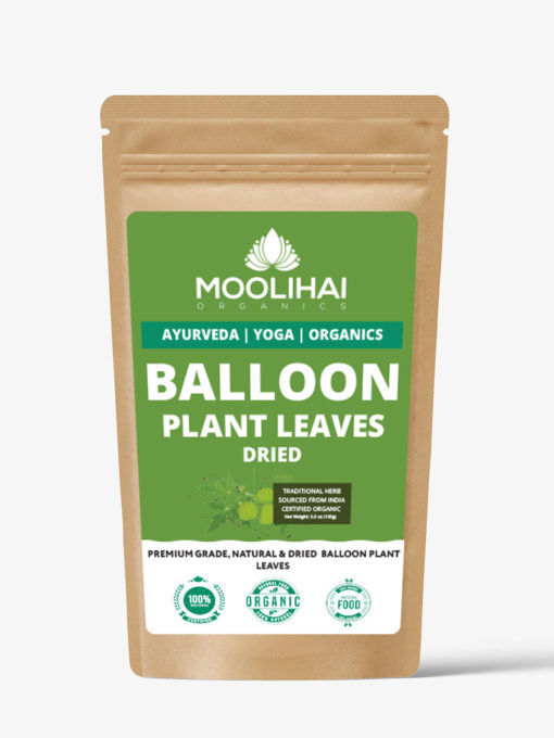 સૂકાઈ ગયેલા મૂડાકરુથણ પાન / બેલૂન છોડના પાન / સંધિ દુખાવા માટે ઉપકારક ઔષધીય વનસ્પતિ - Image 2