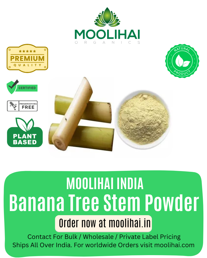 Banana Tree Stem Powder / Vazhai Thandu Podi / Vazha / Arati / Kele-Ka-Phool (Banana Tree stem)-100gm