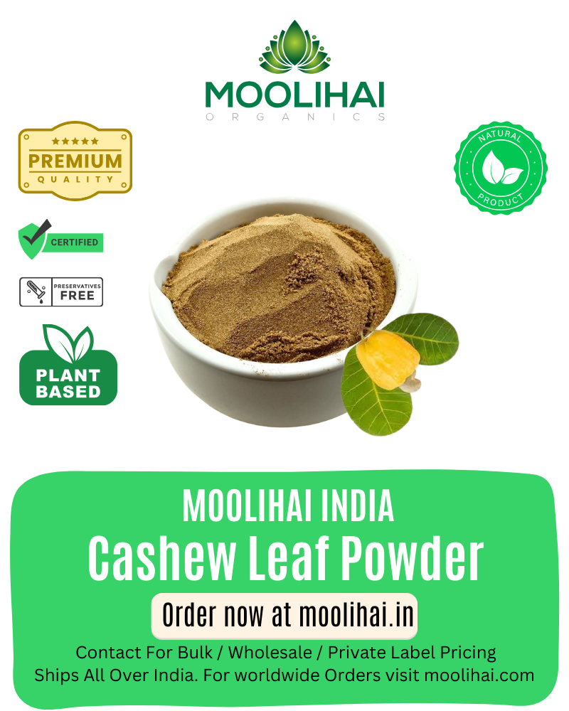 काजू पत्ता पाउडर / मुंदिरी इलई पाउडर / कप्पमावु पाउडर - 200 ग्राम