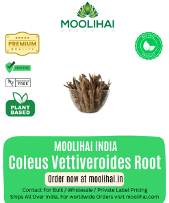 वालक रूट