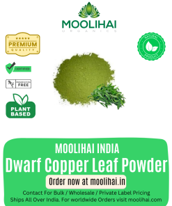 Dwarf Copper Leaf Powder / Ponnanganni leaf Powder / Gudari Sag / Ponnaganti Koora / Kozuppa / Garundi / Honagonne / Alternanthera Sessilis