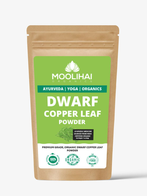 ड्वार्फ कॉपर लीफ पाउडर / पोन्नांगन्नी पत्ती पाउडर / गुडारी साग / पोन्नागंती कूरा / कोजुप्पा - 100 ग्राम - Image 2