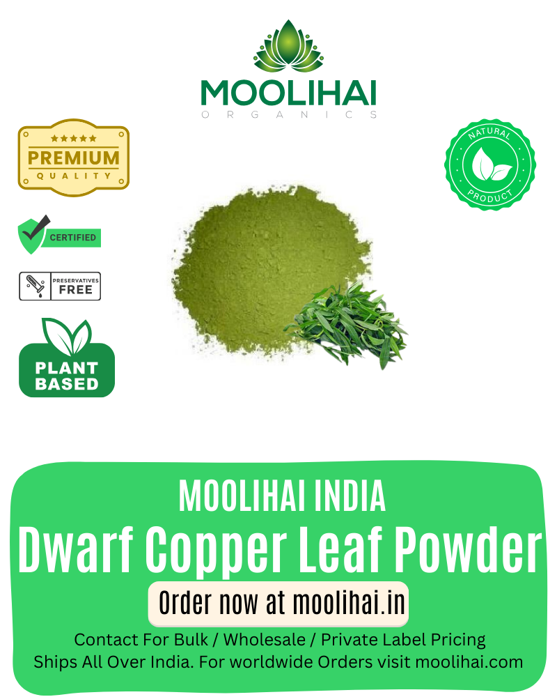 ड्वार्फ कॉपर लीफ पाउडर / पोन्नांगन्नी पत्ती पाउडर / गुडारी साग / पोन्नागंती कूरा / कोजुप्पा - 100 ग्राम