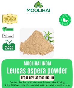 Leucas aspera powder  / Thumbai leaf powder / Tumba / Chhota halkusa / Tumbe Hoovu / Tummachettu