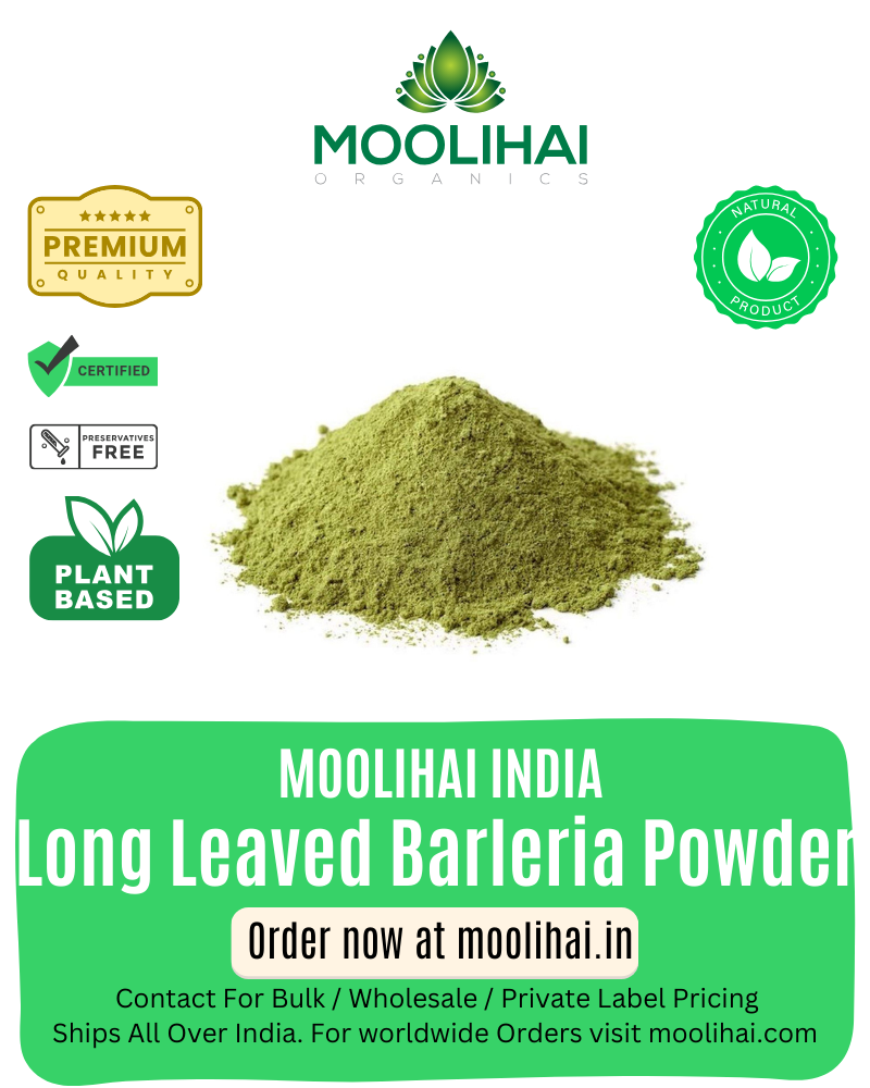 નીર્મુલ્લી પત્તા પાઉડર / લાંબા પાનવાળી બાર્લેરિયા / માર્શ બાર્બલ / નીરુ ગોરાંતા – 50 ગ્રામ