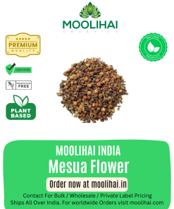 લીડવર્ટ ફૂલ (ચિત્રમૂળ / નાગકેસર) – આયુર્વેદિક હર્બલ ફૂલ