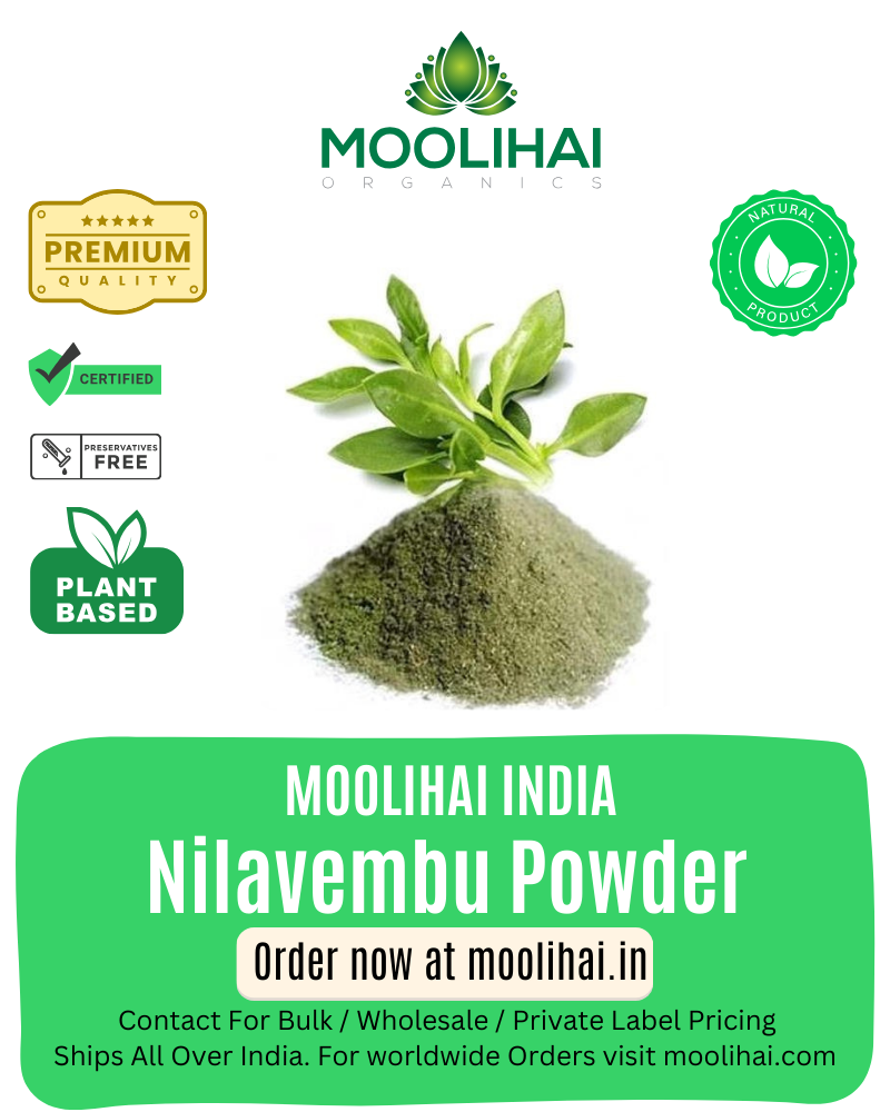 निलवेम्बु पाउडर / एंड्रोग्राफिस / नेलावेपू / किरयात / काडु किरयाता / Nain-e-havandi / Kirata - 100 ग्राम