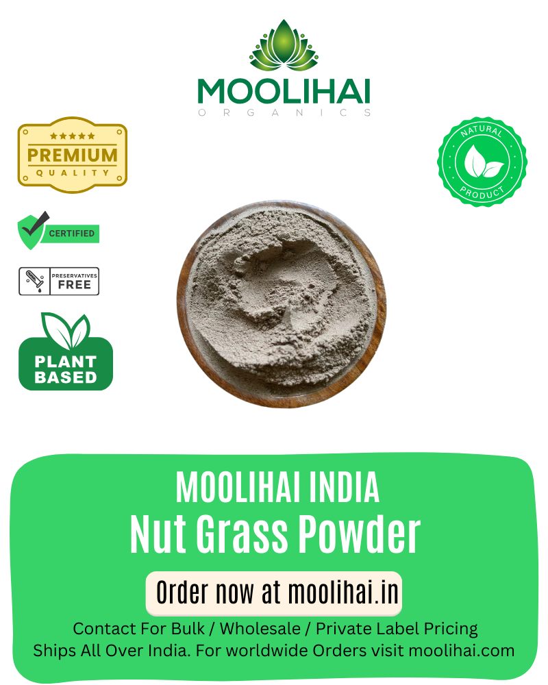 नटग्रास पाउडर / कोरई किलांगू पाउडर / मुथंगा / तुंगा मस्टलु - 200 ग्राम