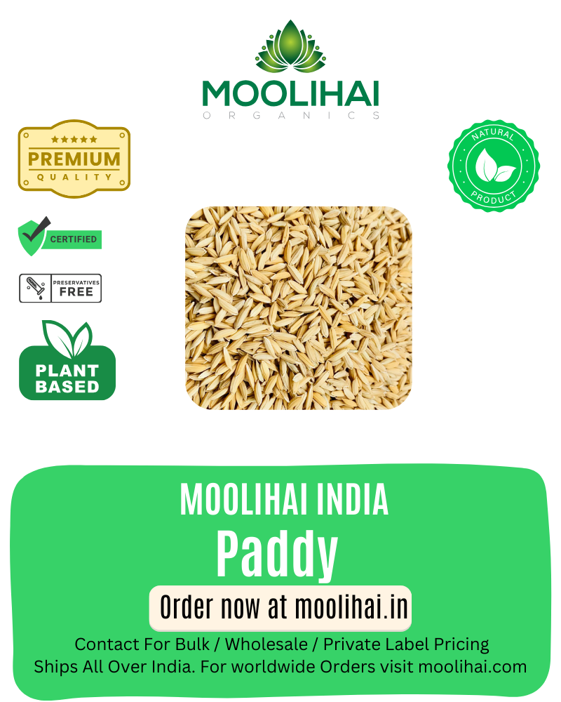 પેડી / ધાન / નેલ / વારી – 500 ગ્રામ