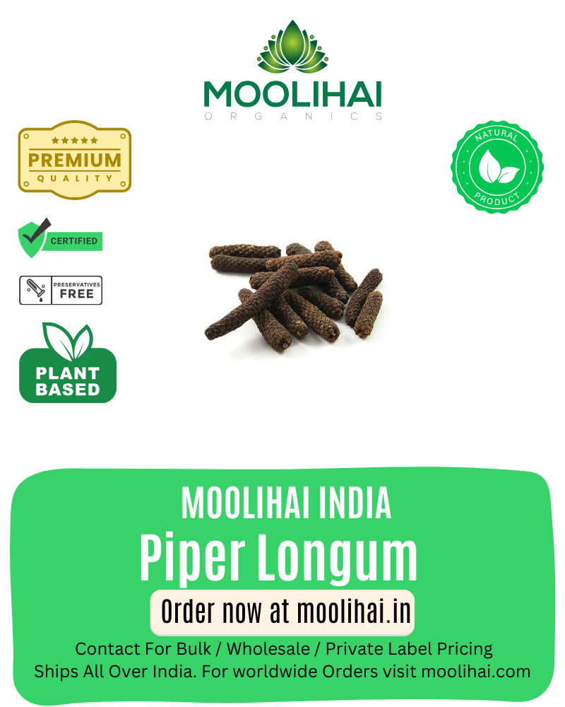 પાઇપર લોંગમ / તિப்பીલી / ઇન્ડિયન લોંગ પેપર / પીપલ / પિપલમૂળ