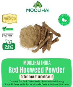 Ayurvedic Natural Red Hogweed Powder | Horse Purslane | Punarnava | Mookarattai Podi | Gadha-cand | Talutama | Sanadika | Treat Arthritis and Inflammation, Respiratory Problems - 100gm