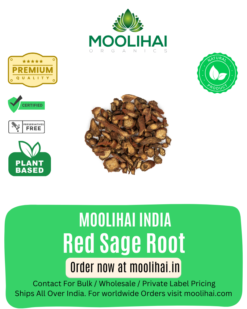 बहमन सुरुक