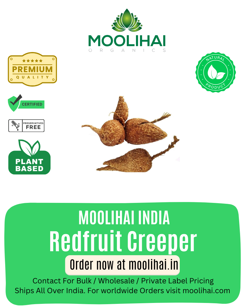 Ayurvedic Herbal 100% Pure Redfruit Creeper | Akasa Garudan Kilangu | Salampanja | Treat Various Skin Allergies- 100gm
