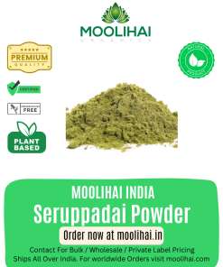 Ayurvedic Herbal 100% Pure Seruppadai Powder / Coldenia Procumbens Powder / Siru Seruppadai Podi 100 gm