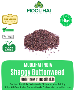 Shaggy Buttonweed / Thartavel Nathai Soori / Spermacoce hispida - 100gm